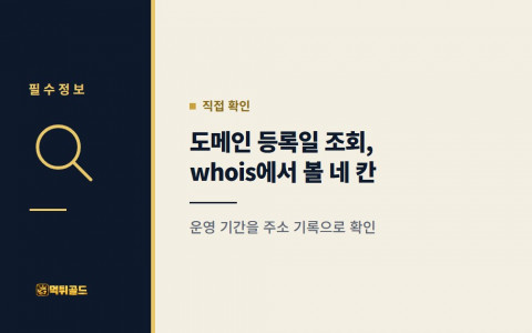 도메인 등록일 조회하는 법, whois 결과에서 볼 네 칸